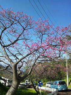 20130124_143023.jpg