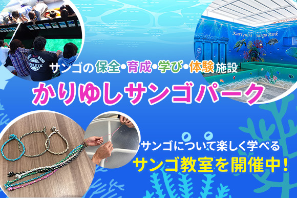 サンゴ教室