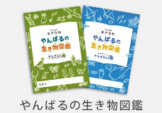 やんばるの生き物図鑑