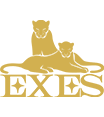 Okinawa EXES Naha