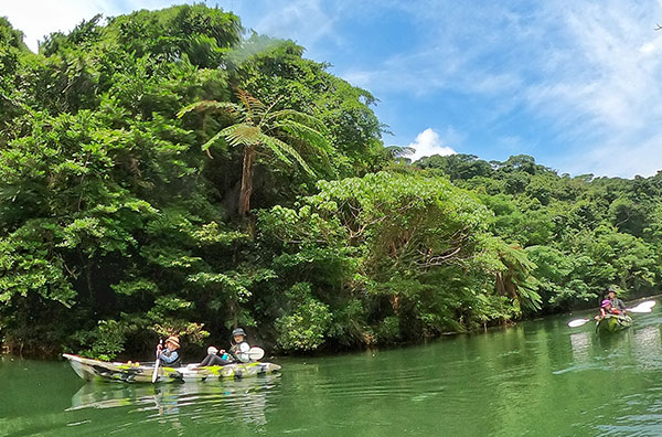 Secret Jungle Kayaking + River Trekking